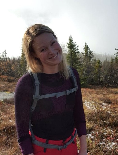 Skjermbilde 2017-06-15 kl. 08.16.35 Skjermbilde 2017-06-15 kl. 08.16.35