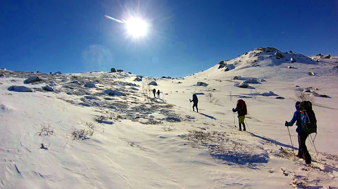 hardangervidda