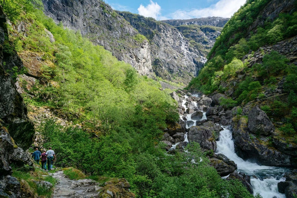 RIKT: Det er grønt og frodig i Aurlandsdalen. 20.000  fotturister går stien hvert år.