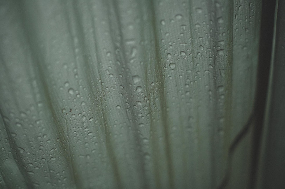 SKUMLE DRÅPER: Å våkne til regn på tarpen er som regel bare koselig. Men ikke denne gangen.