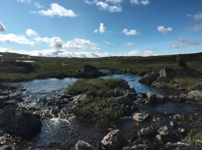 Hardangervidda er Europas største høyfjellsplatå. Hardangervidda er Europas største høyfjellsplatå.