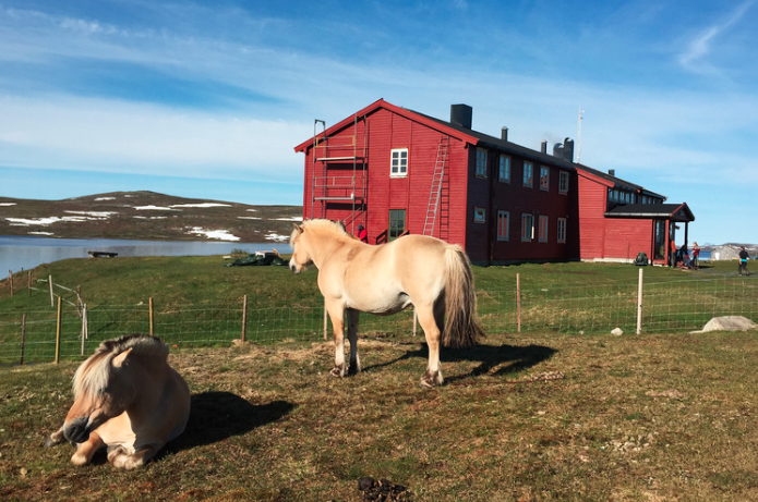 Rauhelleren turisthytte er et flott sted for middag og hvile. Rauhelleren