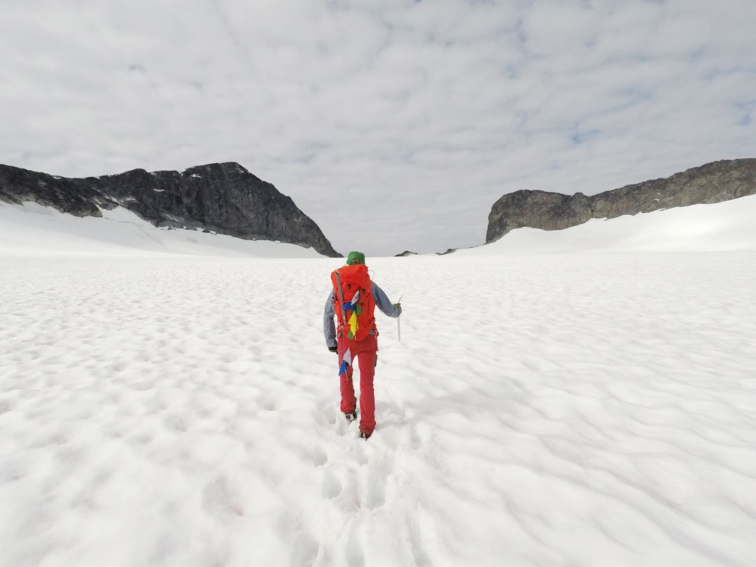 OVER BREEN: En anelse tause går vi bortover breen for å komme oss mot Veslepiggen. Noen har gnagsår. Andre er forstoppet av all brødmaten. OVER BREEN: En anelse tause går vi bortover breen for å komme oss mot Veslepiggen. Noen har gnagsår. Andre er forstoppet av all brødmaten.