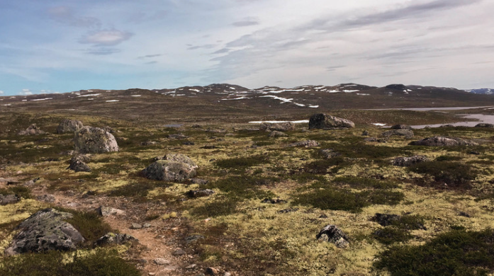 Her er det fred å få. hardangervidda