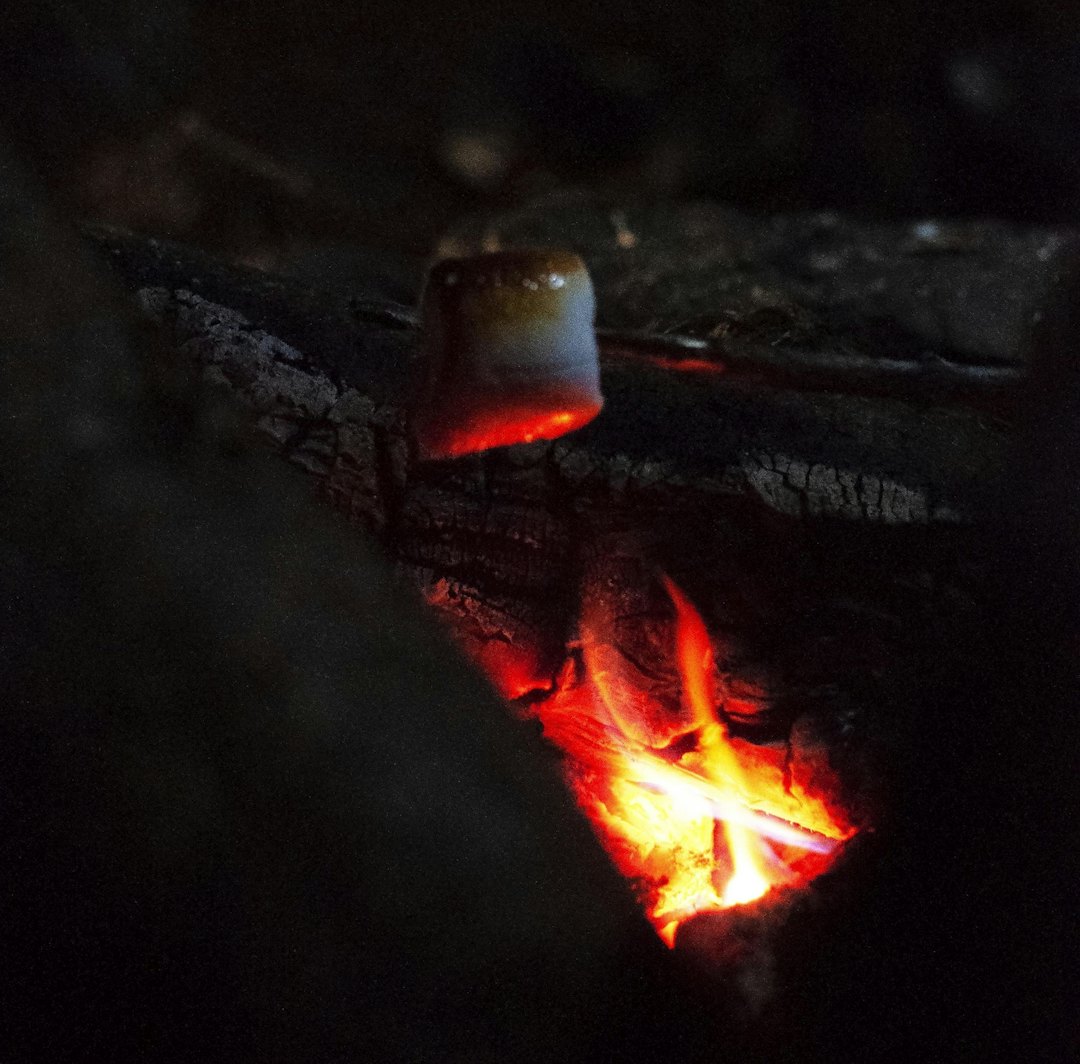 MARSHMALLOWS PÅ BÅL: Fordi det er høstferie bare en gang i året. Foto: Gunhild Aaslie Soldal MARSHMALLOWS PÅ BÅL: Fordi det er høstferie bare en gang i året. Foto: Gunhild Aaslie Soldal