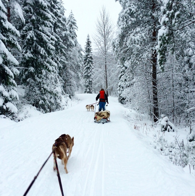 Skjermbilde 2015-01-15 kl. 13.39.32 Skjermbilde 2015-01-15 kl. 13.39.32