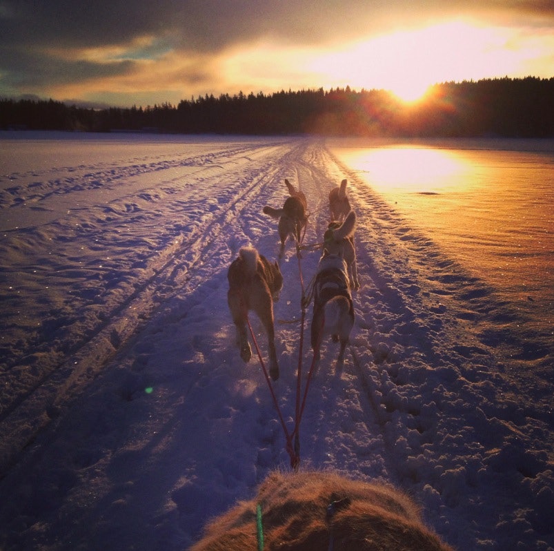 Skjermbilde 2015-01-15 kl. 12.57.01 Skjermbilde 2015-01-15 kl. 12.57.01