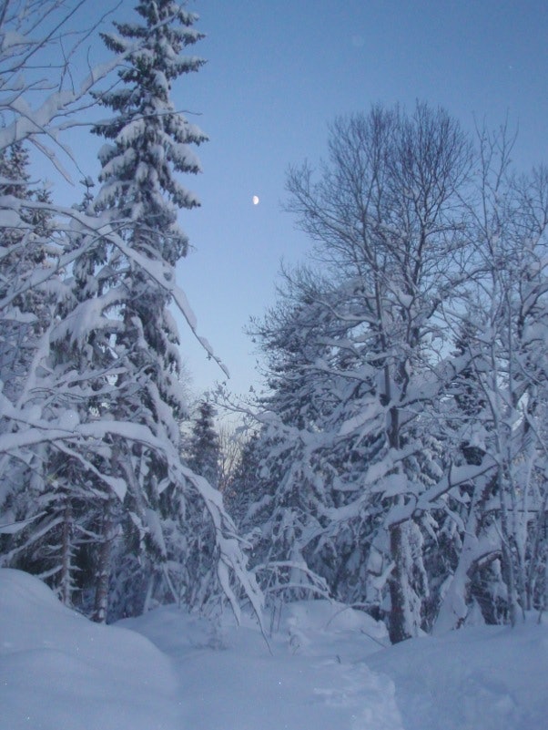 FRI: Jeg må utenfor en siste gang for å si god natt til månen. Foto: Vebjørn Jacobsen Melum måne