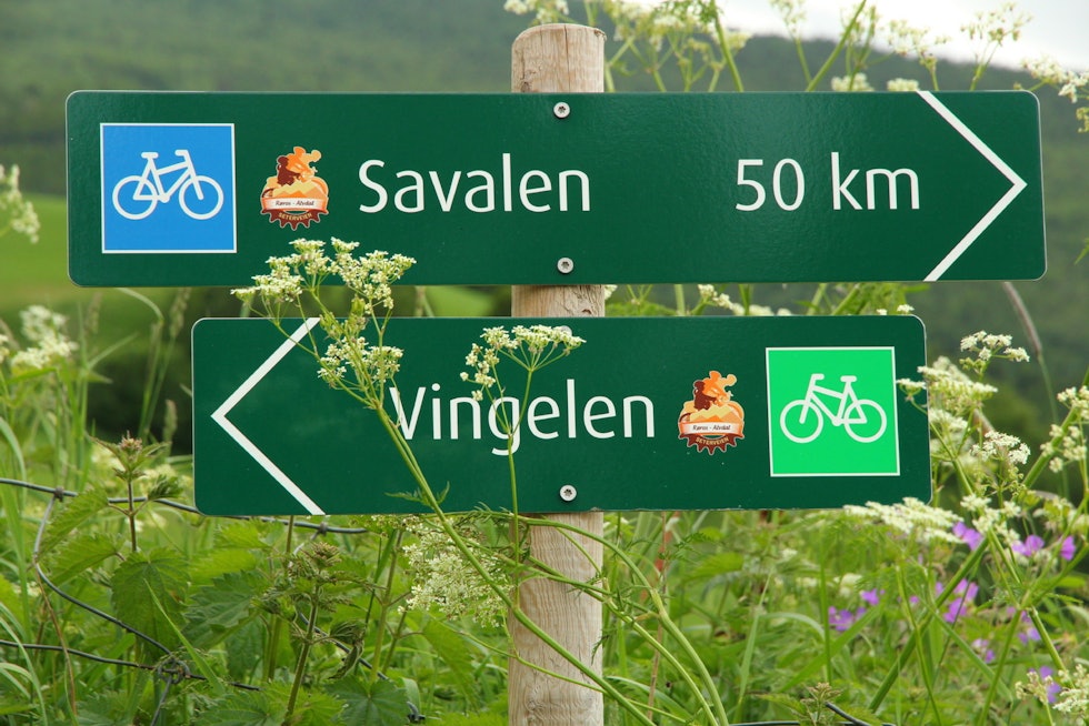 HIT, MEN IKKE DIT: Det er forholdsvis lett å finne veien, med god skilting. Foto: Øyvind Wold seterveien sykkel røros alvdal tur tips