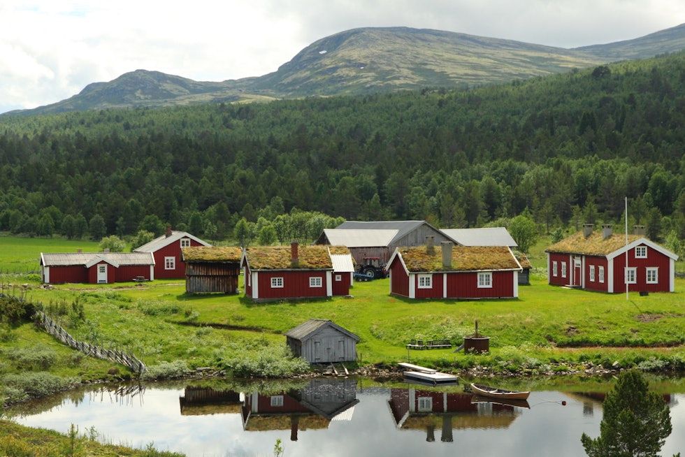 SETERLANDSKAP: Ruta har ikke fått navnet sitt uten grunn. Foto: Øyvind Wold seterveien røros alvdal sykkel
