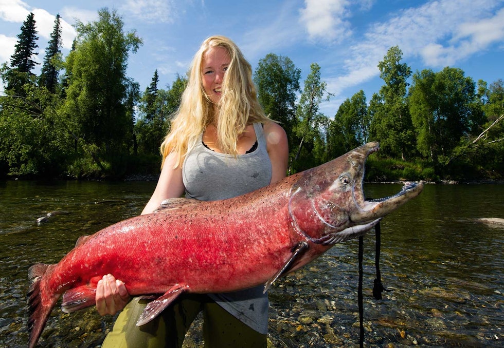 Helt konge: Det er kongelaks på denne størrelsen som får mange til å drømme om fisketur til Alaska. Alle fikk holde da vi fikk en på land - her campvertinne Ingebjørg Fyrileiv Guldvik. Fiske-i-Alaska-8