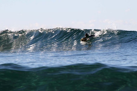 SURFING PÅ JÆREN: Erlend Røhrt (11) i og glitrende Jæren-bølger i oktober. Foto: Audun Holmøy Røhrt