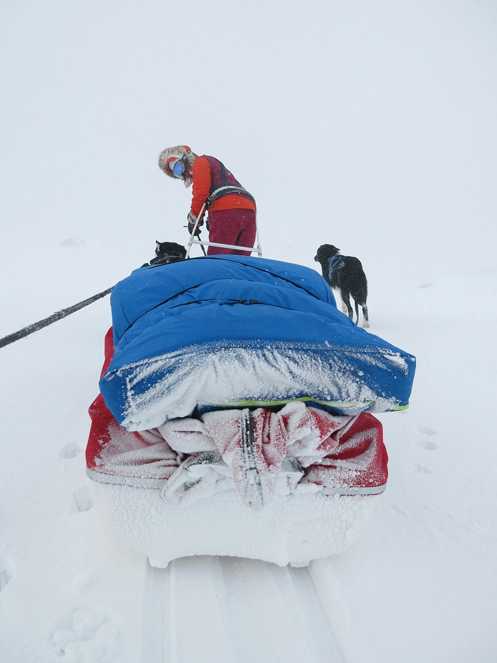 White-out: Når man er lenge på tur må man regne med noen dager med white-out. Inger, hundene og pulken var det eneste som ikke gikk i ett i fargenyanser disse dagene. Foto: Therese Kongsli Jakobsen nordkalottruta