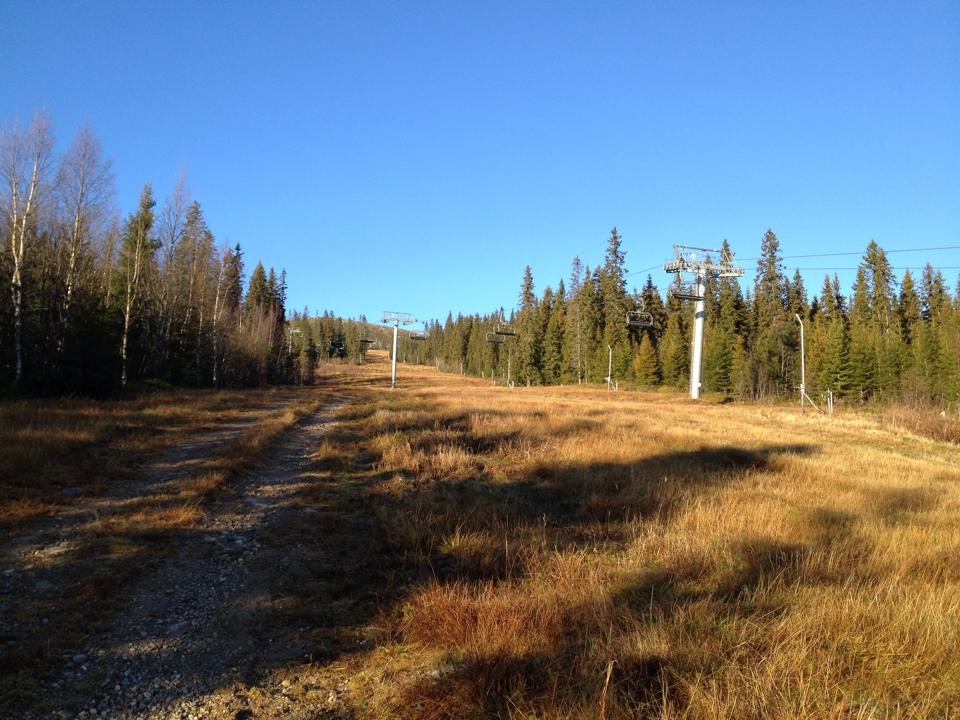 Stillestående: Trysil 29. oktober 2014. Foto:Anita Moen