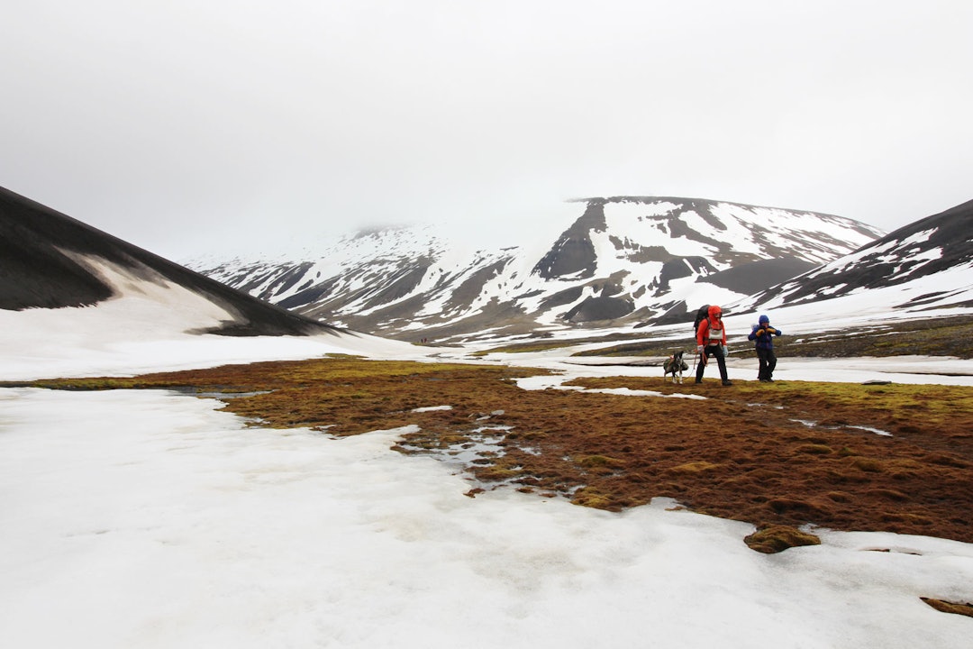 ARKTISK: Sommer på Svalbard er ikke helt som hjemme.