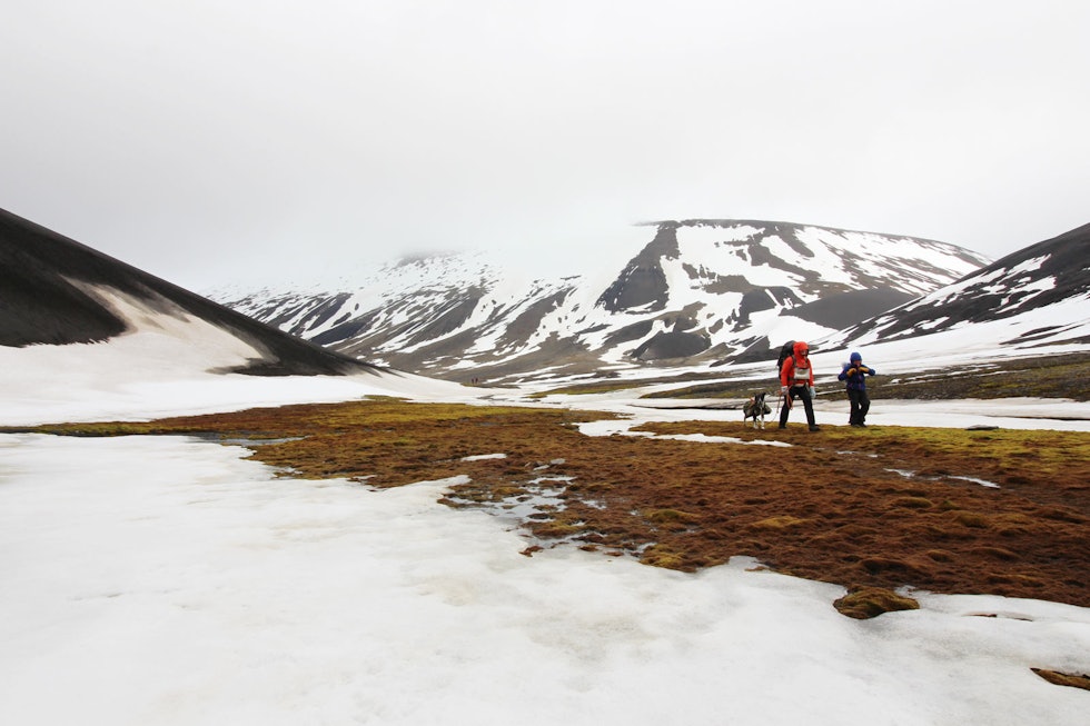 ARKTISK: Sommer på Svalbard er ikke helt som hjemme. ARKTISK: Sommer på Svalbard er ikke helt som hjemme.