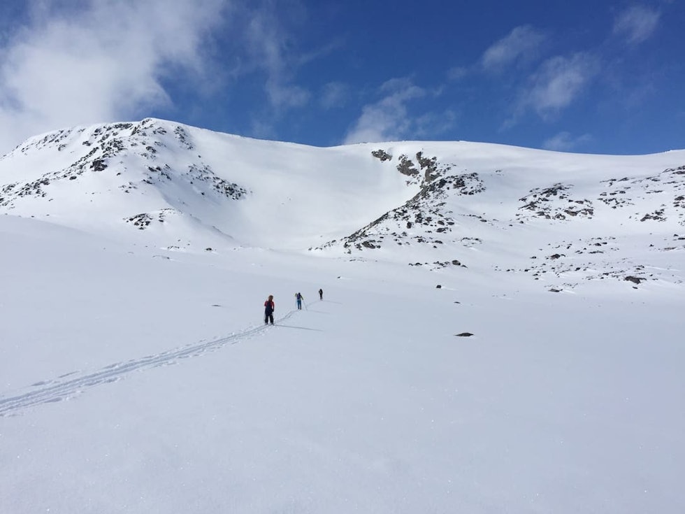 VALDRESFLYA: Et lett tilgjengelig område mellom Valdres og Gudbrandsdalen. Foto: Siri Sælnes valdresflya skitur