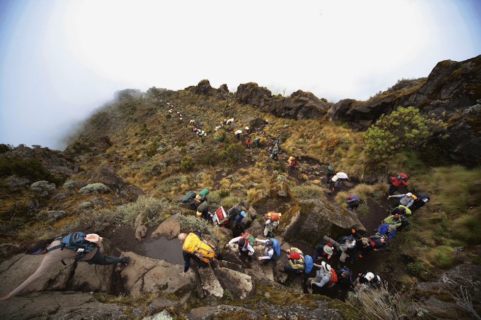 LANG, LANG REKKE: Kun halvparten av de 15.000 turistene som prøver å bestige fjellet hvert år når toppen, men norske gruppeturer legger inn god tid til akklimatisering og har postitiv innvirkning på statstikken. Foto: Matti Bernitz