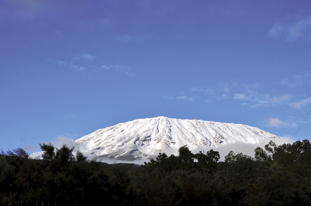 "DEN HVITE SNØEN": Hemingways tittel er det som møter oss den første morgenen, men snøen på Kilimanjaro kan smelte innen 20 år. Foto: Henriette Aas. "DEN HVITE SNØEN": Hemingways tittel er det som møter oss den første morgenen, men snøen på Kilimanjaro kan smelte innen 20 år. Foto: Henriette Aas.