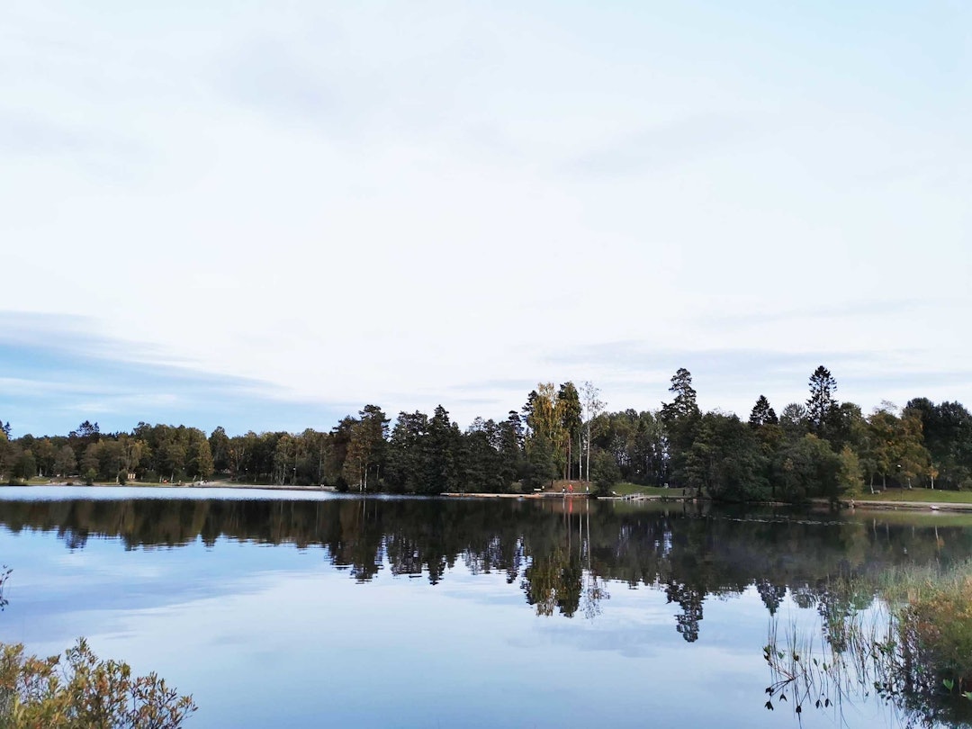 Sognsvann i oslo