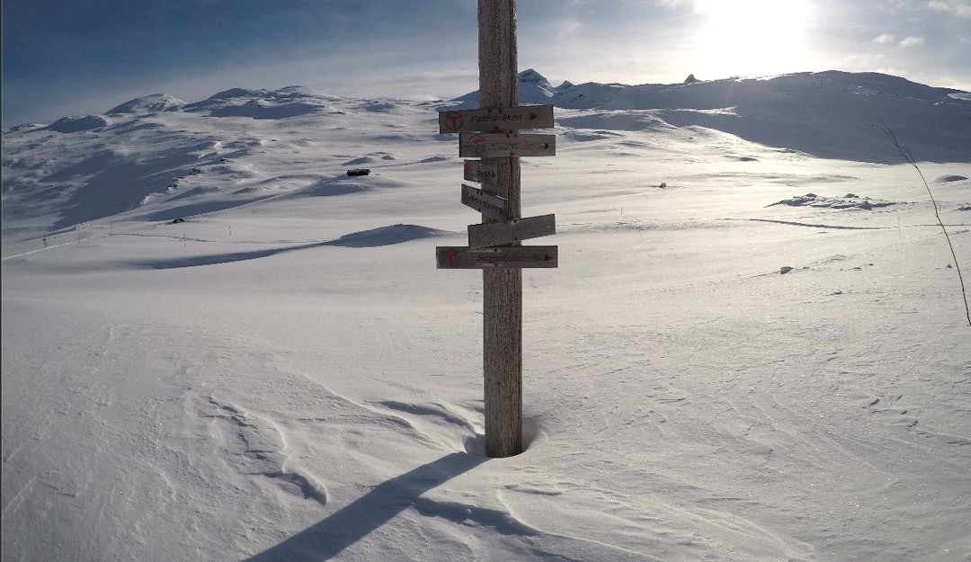 GODT SKILTET: Mye snø, men skiltene er heldigvis plassert høyt ved Krossbu. GODT SKILTET: Mye snø, men skiltene er heldigvis plassert høyt ved Krossbu.