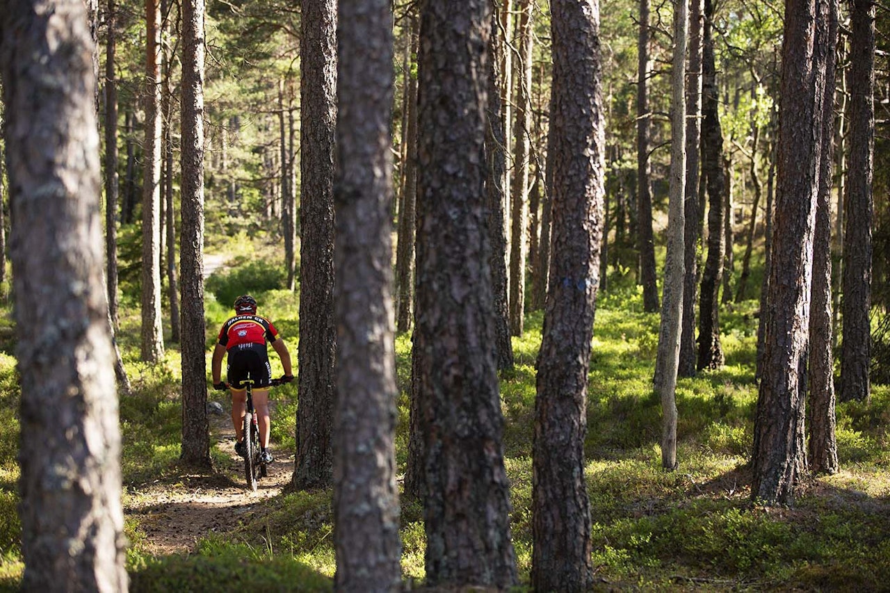 Marius Bekkevold er løypelegger i årets utgave av Grenserittet Etappe. Foto: Kristoffer Kippernes Marius Bekkevold er løypelegger i årets utgave av Grenserittet Etappe. Foto: Kristoffer Kippernes