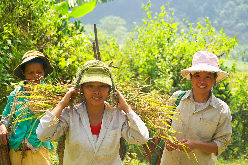 09.Muong-jenter 09.Muong-jenter