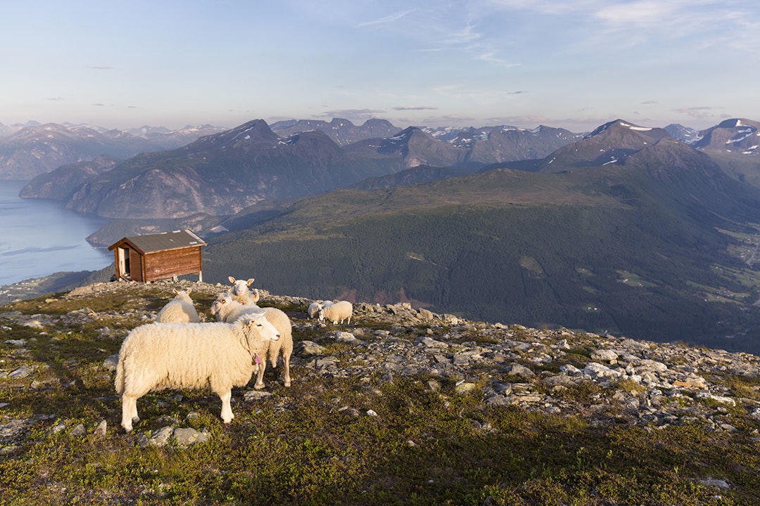 axelbrunst_22339947_nett axelbrunst_22339947_nett