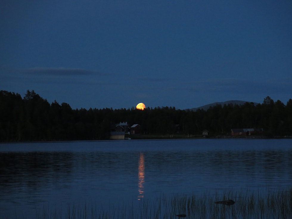 IMG_1179 IMG_1179