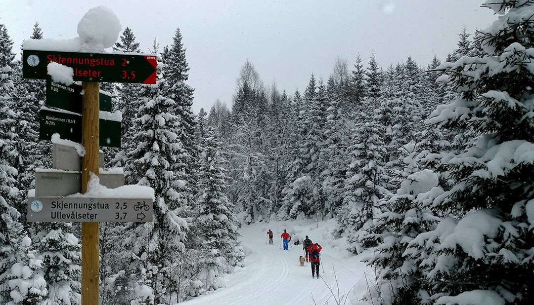 ER DET LANGT Å GÅ: 2 km igjen, ja - men det er i opptråkka oppoverbakke, og skia dine er dårlig smurt. Da er det godt å vite at bollene er skikkelig, skikkelig bra! skjennungstua marka ski oslo