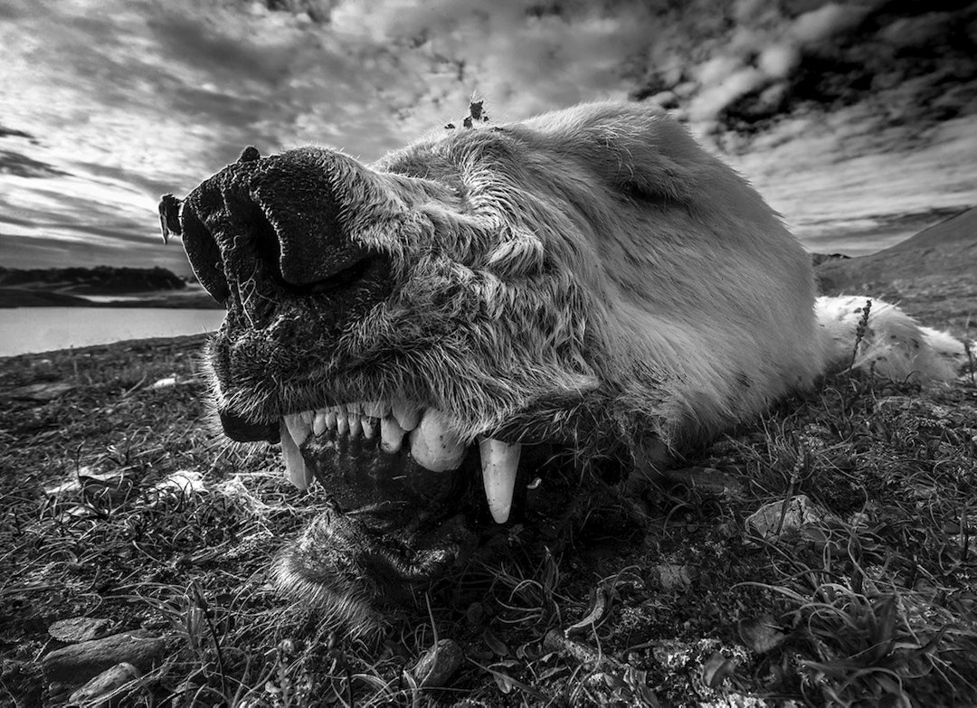 NNPC2014_AHR_20082013_2 NNPC2014_AHR_20082013_2