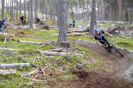 Stisyklistene i Sogndal har lagt ned mye arbeid i stiene på Kaupanger. Nå skal Vestlandsforsking kartlegge hva brukerne vet om området for å kunne koordinere sambruken bedre. Foto: Håvard Nesbø