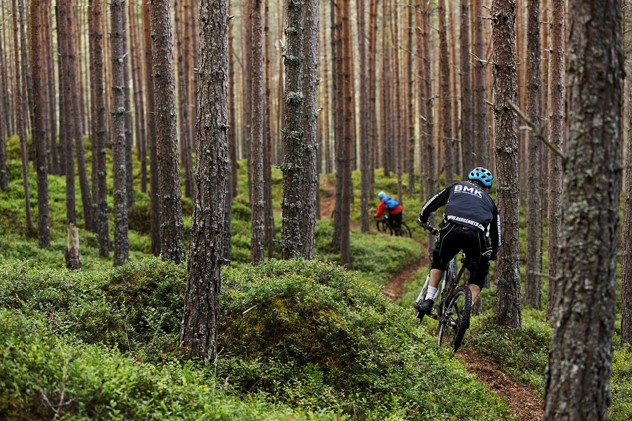 Foto: Kristoffer H. Kippernes Foto: Kristoffer H. Kippernes