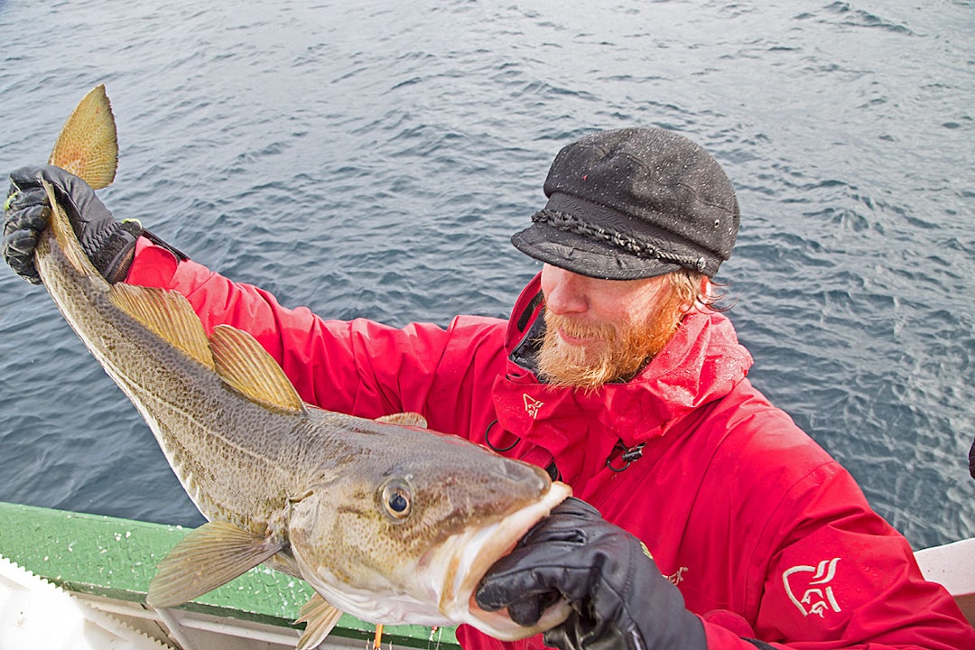 David Underland David Underland