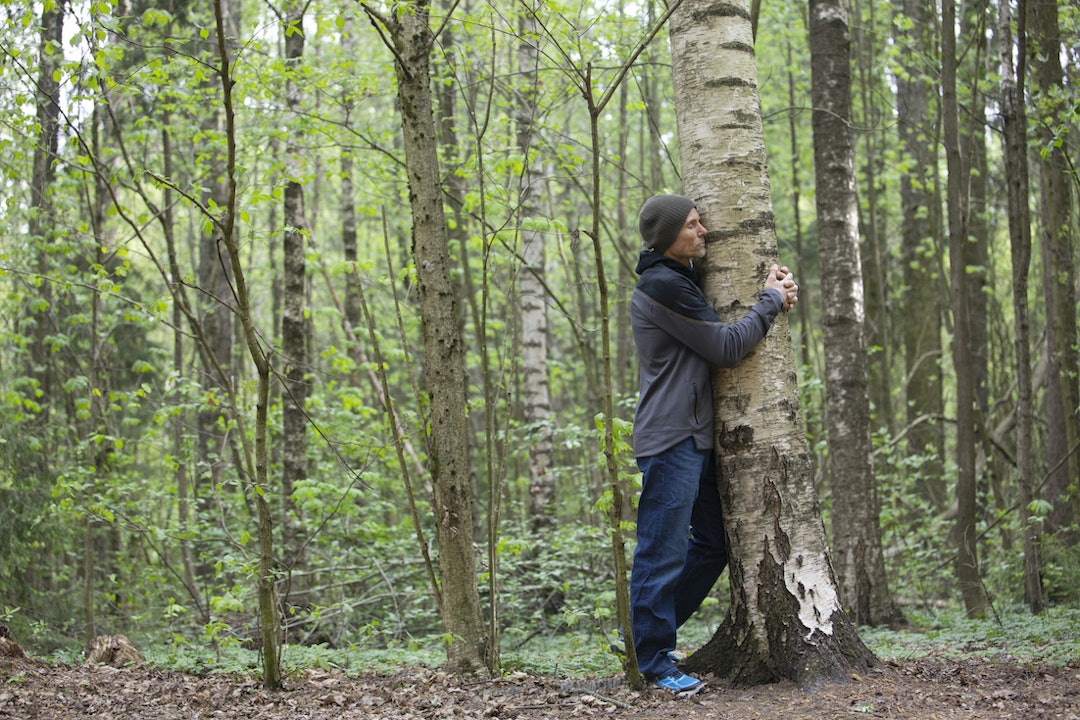 INNAFOR: Det er lov å klemme trær, sier Lars Gilberg. Foto: Ellen Jarli