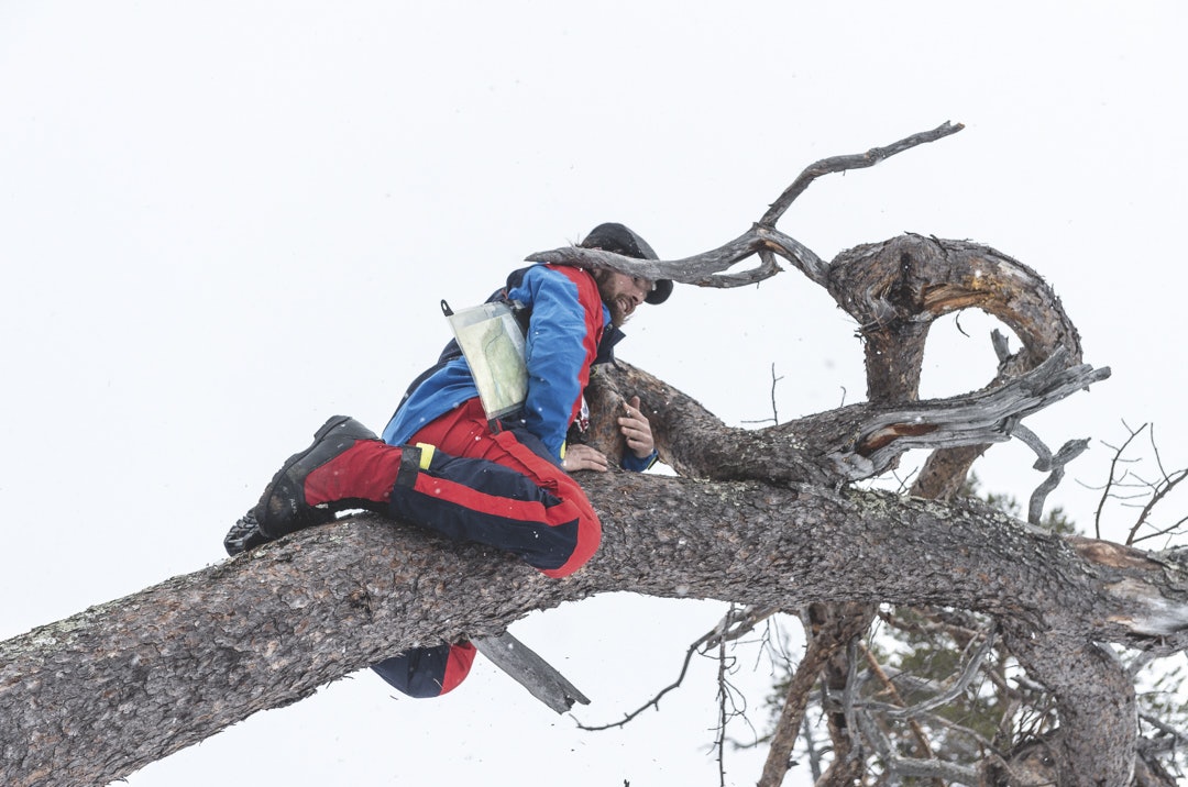 untitled-15 untitled-15