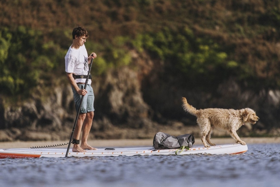 PLASS TIL FLERE: På et stort touringbrett er det god plass til bagasje og kjæledyr. Her et oppblåsbart brett fra Shark. SHARK SUP med hund