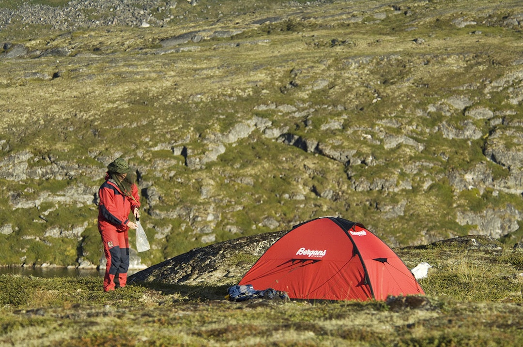 Kvinne og telt i fjellet