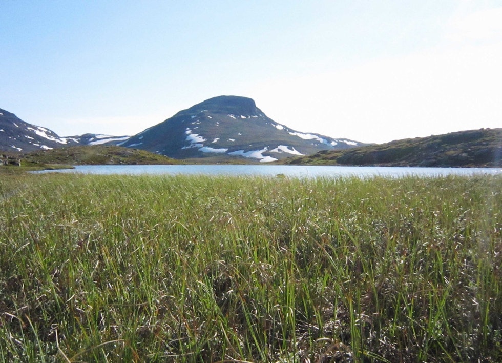 SULETIND: I sommerdrakt. Foto: Eivind Eidslott fjelltur til suletind tyin filefjell