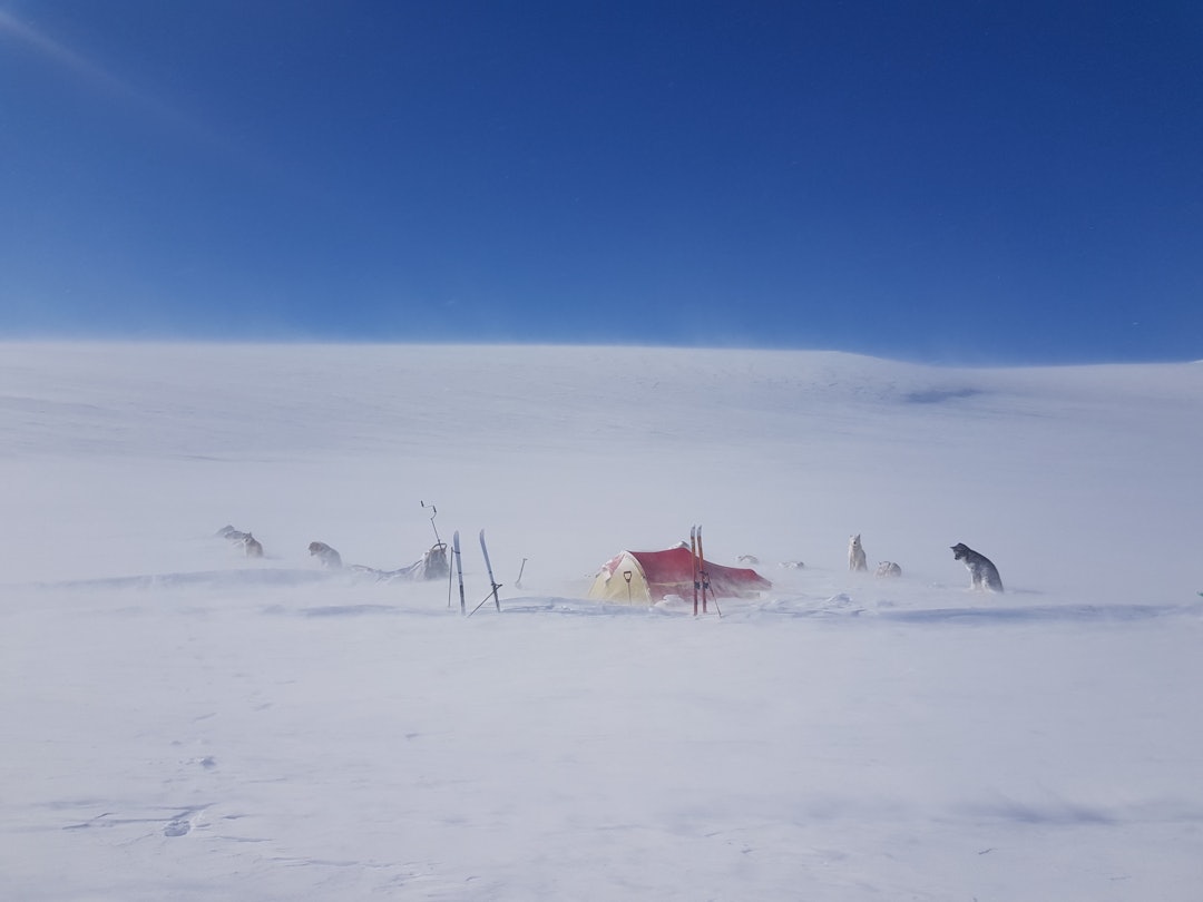 værfast i fjellet snøstorm Kjell Harald Myrseth hundekjøring