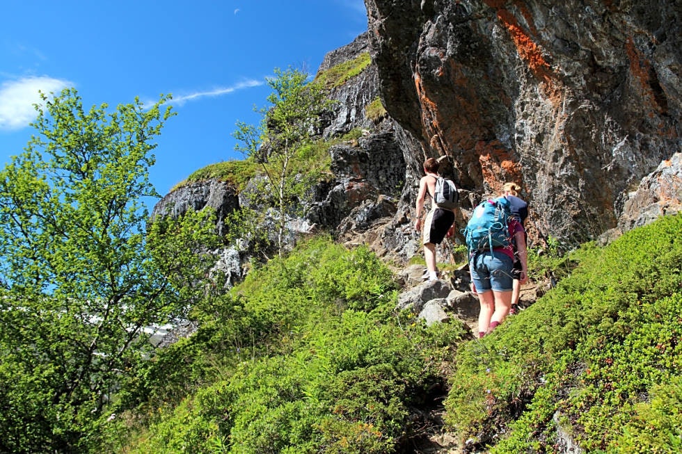 Knutshø fjelltur