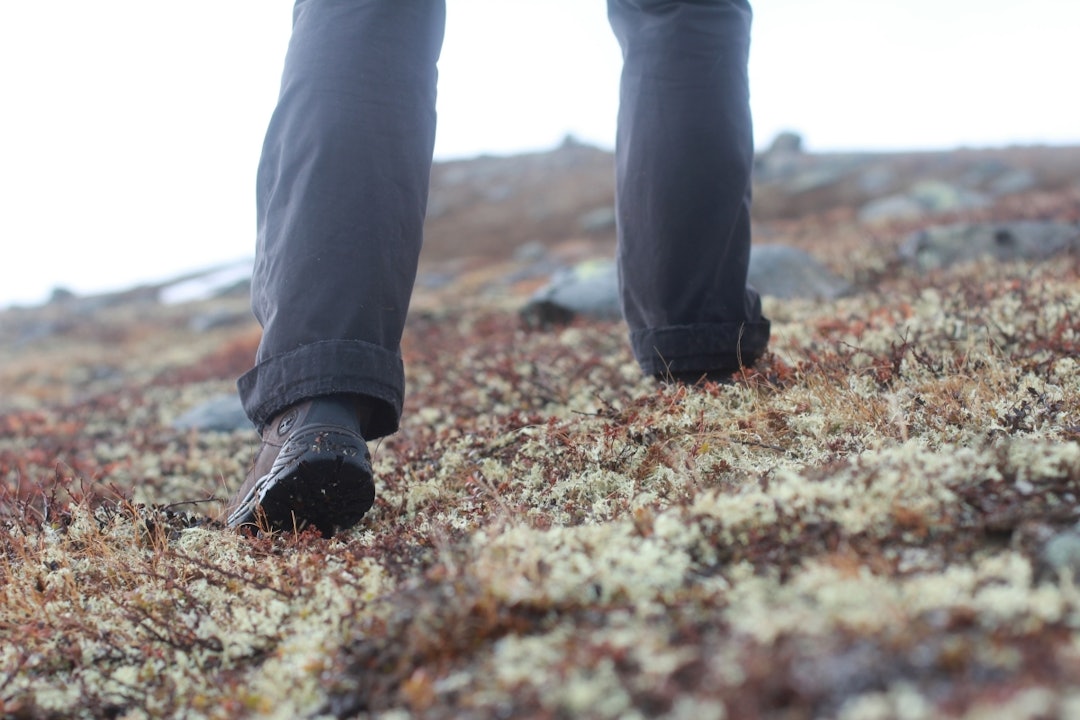 BLIR KJENT: Når vi går eller løper, er vi i omgivelsene. De veiene, stiene og terrenget som binder sammen der vi er, med dit vi skal, blir reelle størrelser og distanser. Foto: Charlotte Oliversen Gå på tur