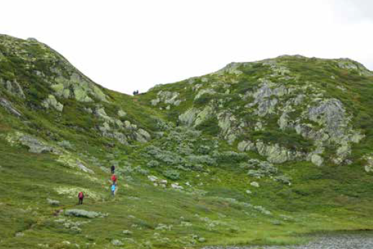 Silekdalsnutane turguide Rauland Telemark