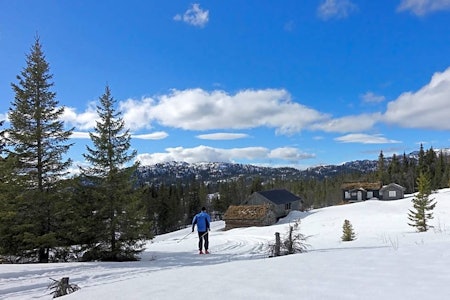 Da vi testet løypenettet var det preparert skiløyper ned til Hovdestaul. Kvambekkheia langrenn turguide