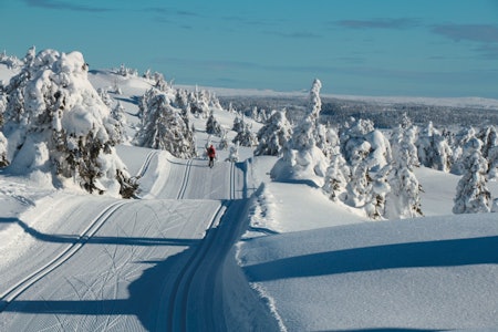 EKTE VINTER: Bildet er fra skaret mellom Mostefjell på en nydelig dag for langrennstur. Foto: Øyvind Wold langrenn på sjusjøen