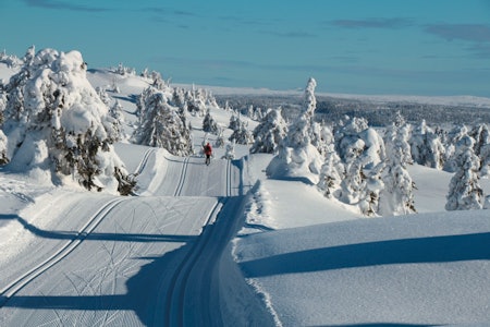 langrenn på sjusjøen 