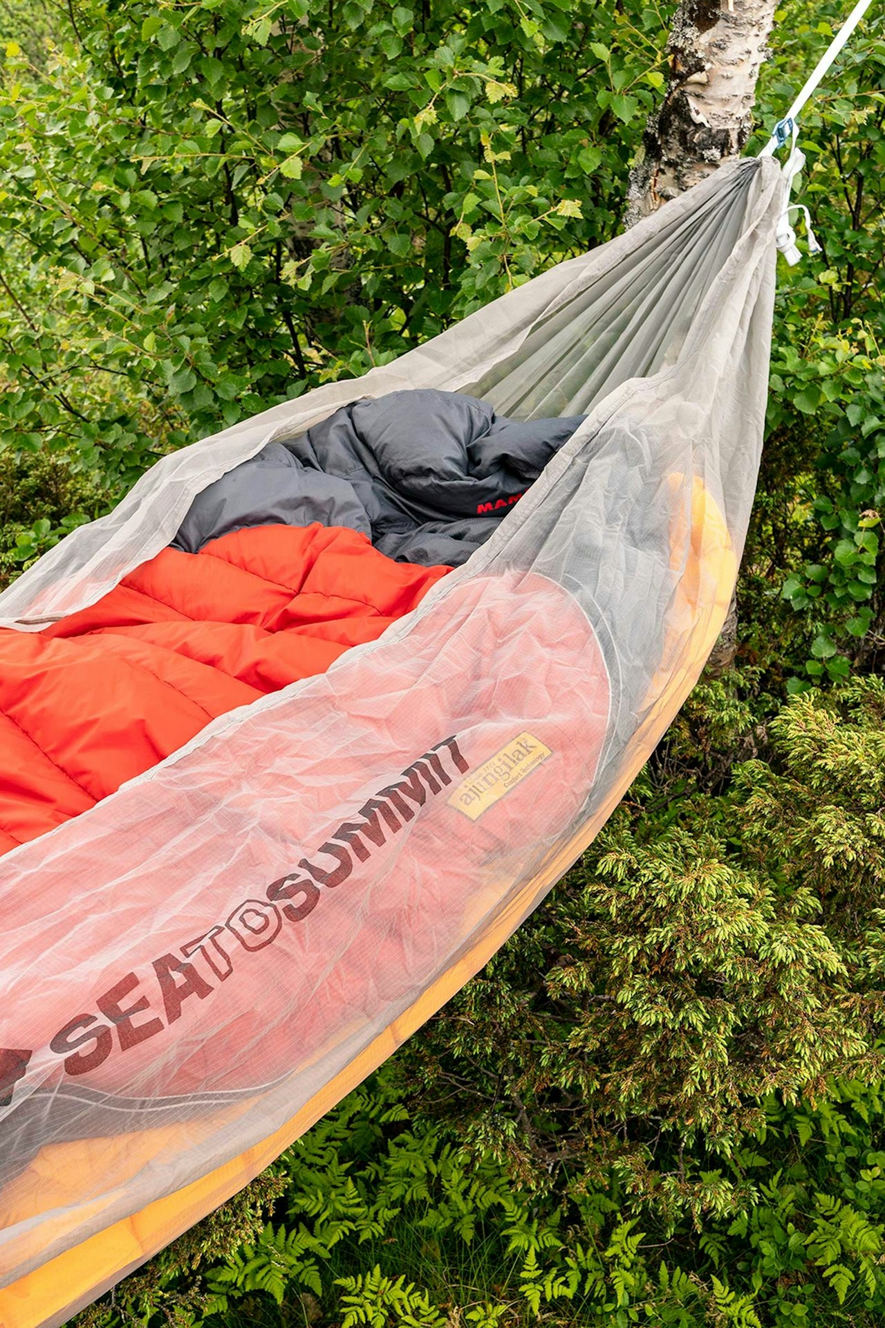 Reddit ultralight hammock Clearance