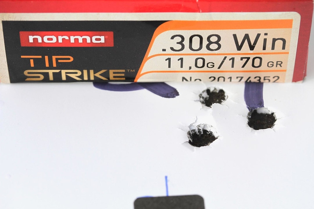 .308Win skudd med kaliber 308w