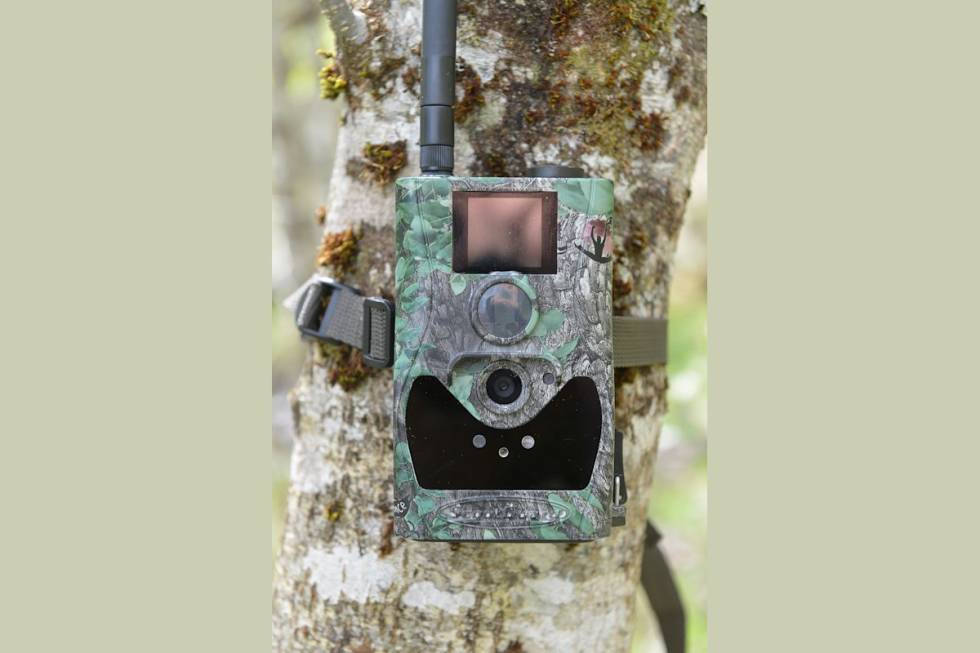 Scoutguard 880 MK 14 viltkamera til test hektet til et tre