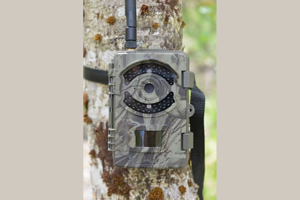 Bushwhacker Big Eye 3G viltkamera til test i et tre